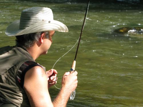 trout-in-south-west-mountain-06