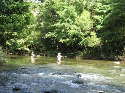 trout-in-south-west-mountain-07
