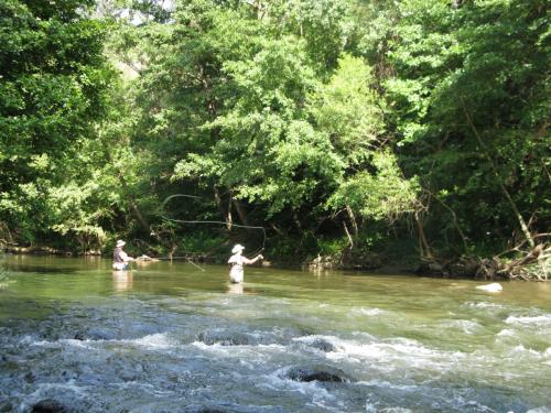 trout-in-south-west-mountain-08