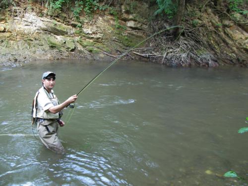 trout-in-south-west-mountain-09