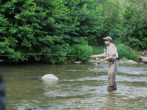 trout-in-south-west-mountain-11