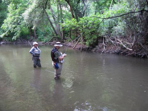 trout-in-south-west-mountain-12