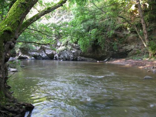 trout-in-south-west-mountain-13