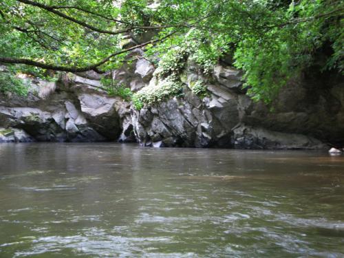 trout-in-south-west-mountain-14