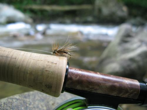 trout-in-south-west-mountain-16
