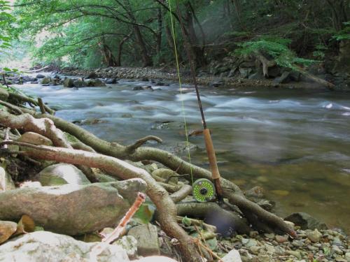 trout-in-south-west-mountain-19