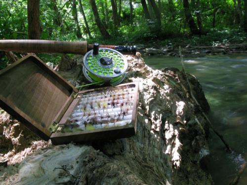 trout-in-south-west-mountain-24