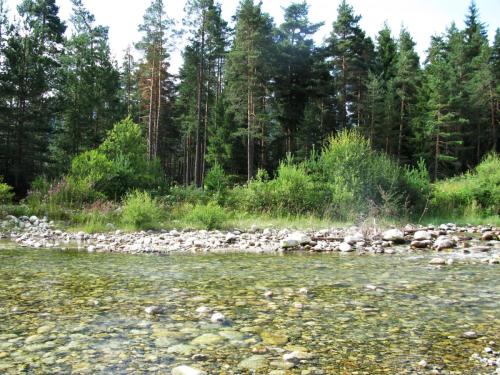 trout-in-south-west-mountain-30