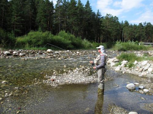 trout-in-south-west-mountain-31