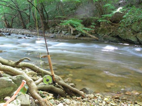 trout-in-south-west-mountain-38