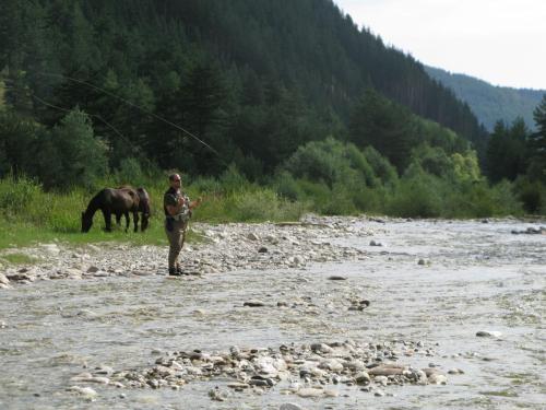 trout-in-south-west-mountain-41