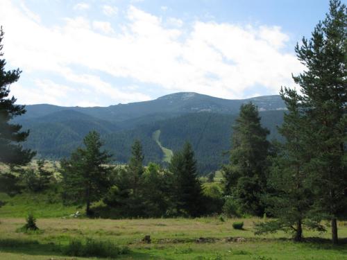 trout-in-south-west-mountain-42