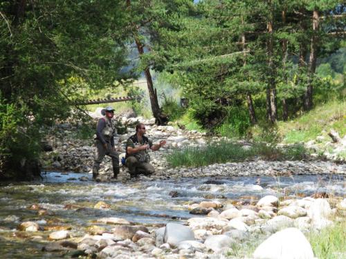 trout-in-south-west-mountain-44