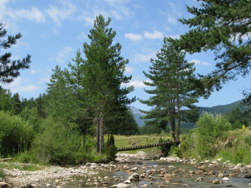trout-in-south-west-mountain-46