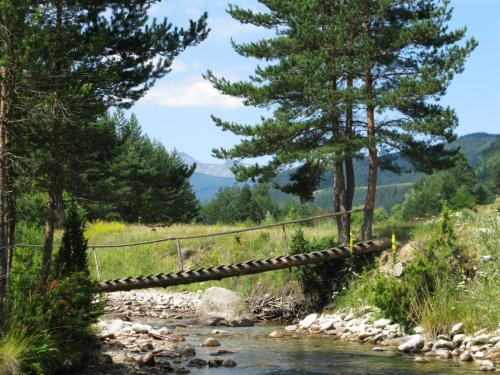trout-in-south-west-mountain-47