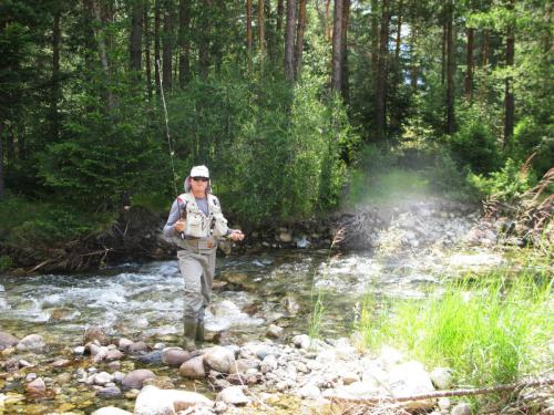 trout-in-south-west-mountain-48