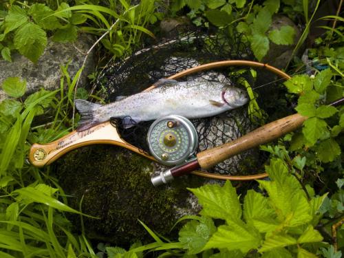 trout-middle-balkan-03