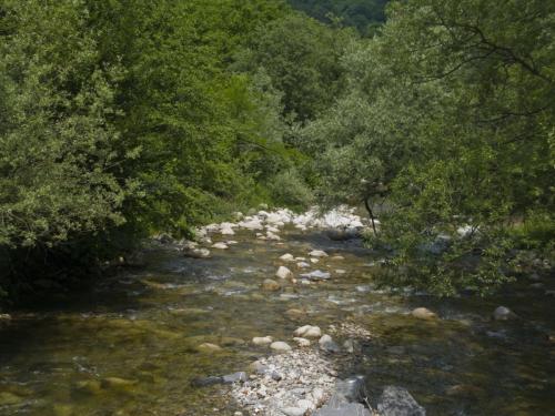 trout-middle-balkan-04