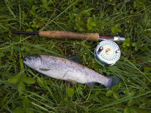 trout-middle-balkan-05