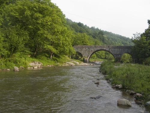 trout-middle-balkan-10