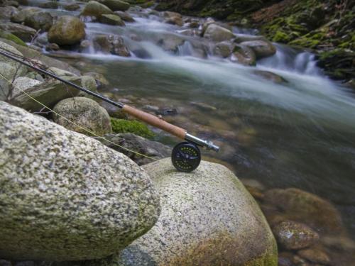 trout-middle-balkan-18