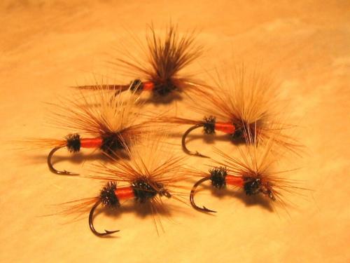 trout-royal-coachman-parachute-03