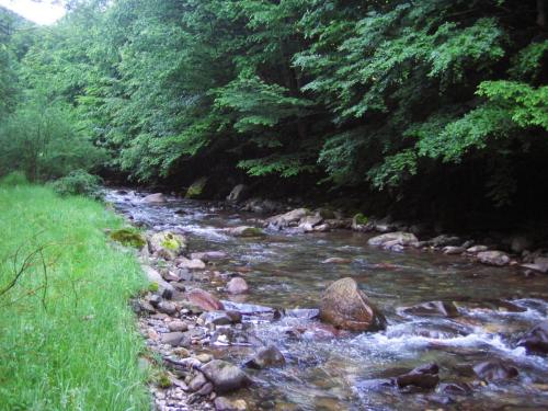 trout-stara-planina-01