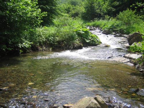 trout-stara-planina-09