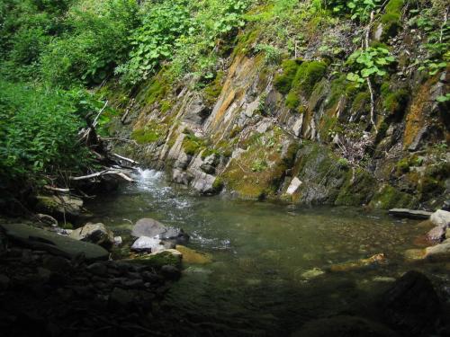 trout-stara-planina-12