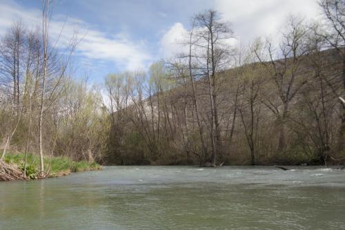 trout-trip-Zlatna-Panega-02