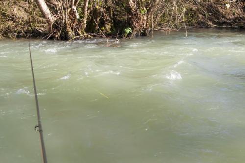 trout-trip-Zlatna-Panega-16