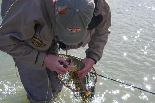 trout-trip-Zlatna-Panega-18
