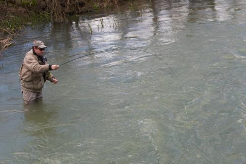 trout-trip-Zlatna-Panega-22