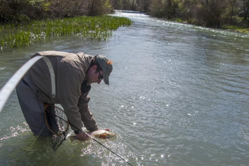 trout-trip-Zlatna-Panega-23