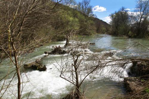 trout-trip-Zlatna-Panega-25