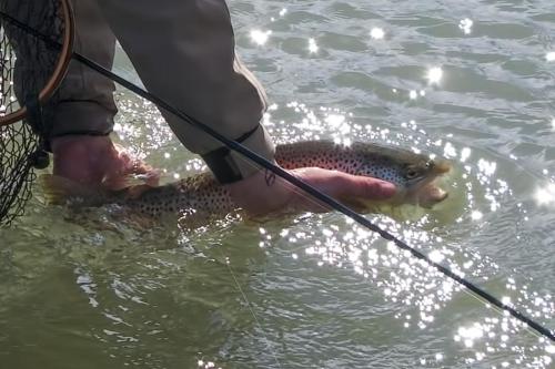 trout-trip-Zlatna-Panega-26