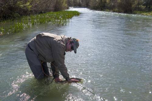 trout-trip-Zlatna-Panega-30