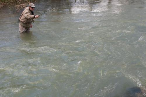 trout-trip-Zlatna-Panega-32