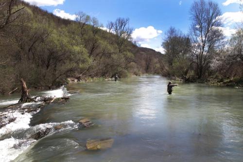 trout-trip-Zlatna-Panega-35