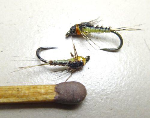 Unweighted Nymphs