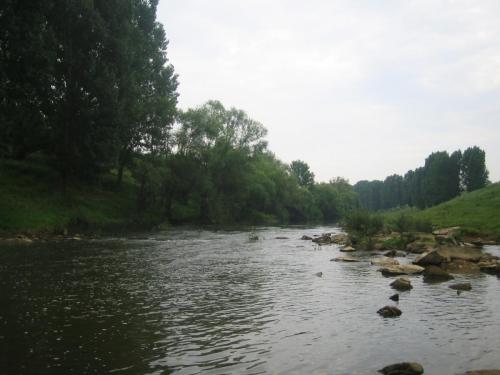 zlatarishka-river-chubs-01 (1) (1)