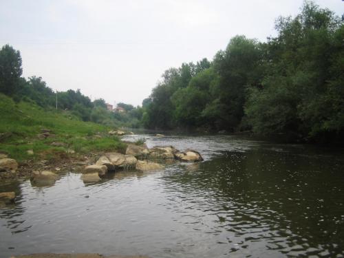 zlatarishka-river-chubs-02 (1)