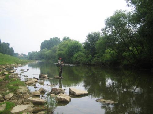 zlatarishka-river-chubs-04 (1)