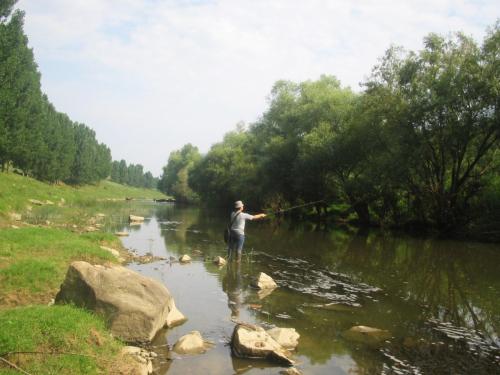 zlatarishka-river-chubs-08 (1) (1)