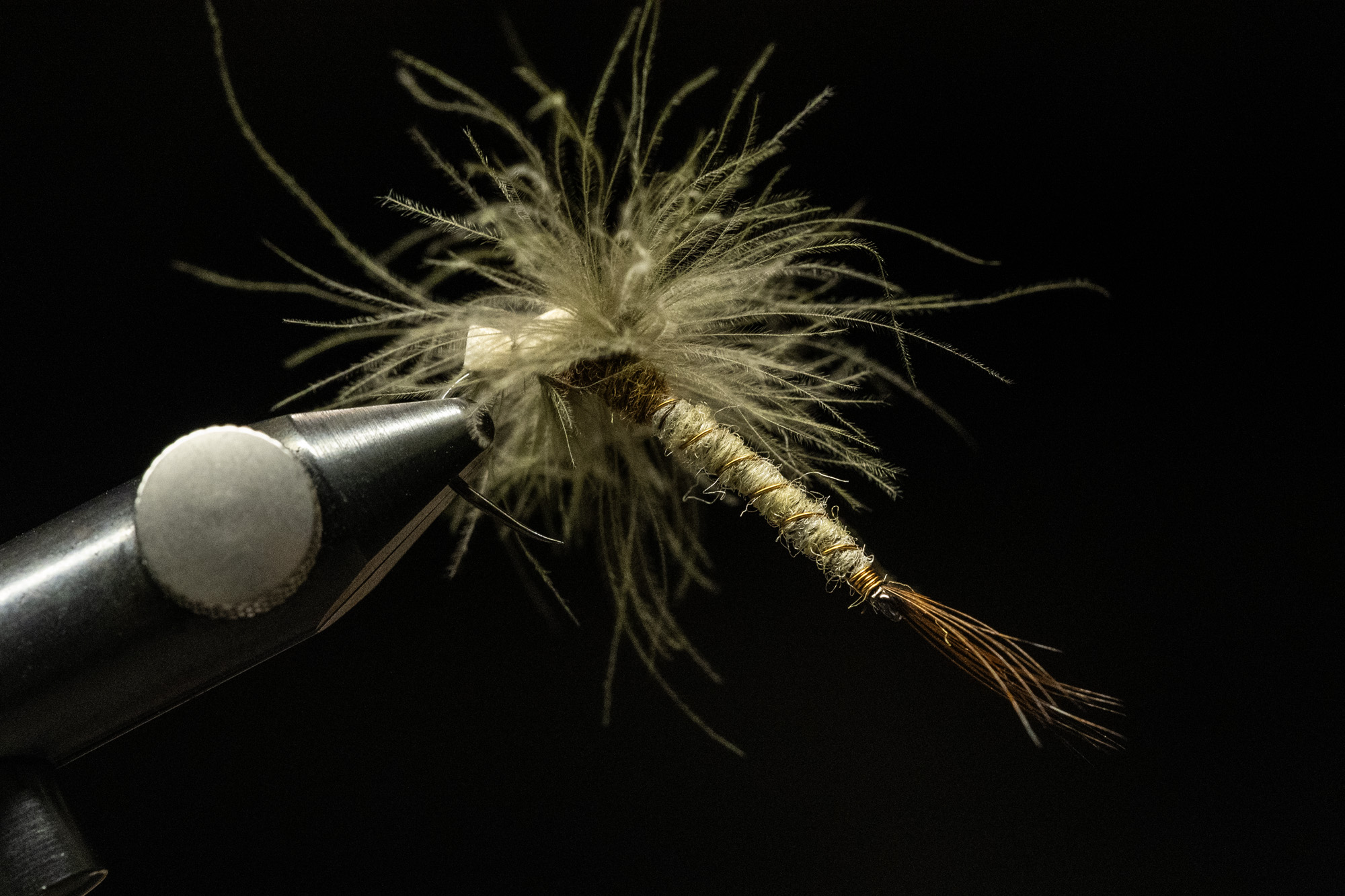 reversed-may-fly-emerger-02