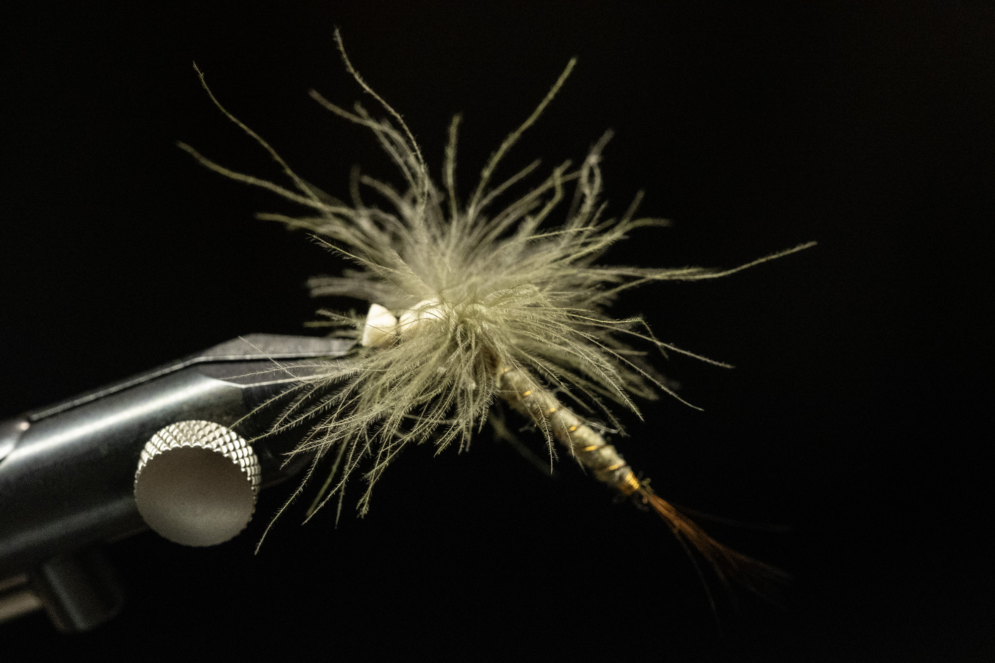 reversed-may-fly-emerger-06 Reversed May Fly Emerger