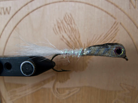 white-swallow-streamer-01 Бялата лястовица